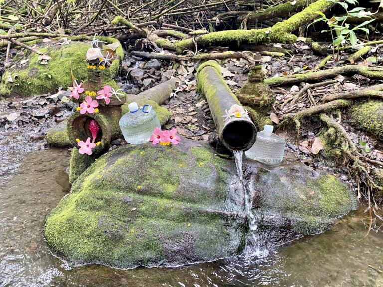 Find A Spring How to Collect Spring Water