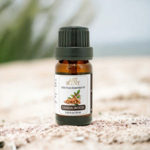 Profile photo of tinhdau