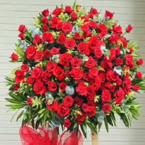 Profile photo of shop hoa