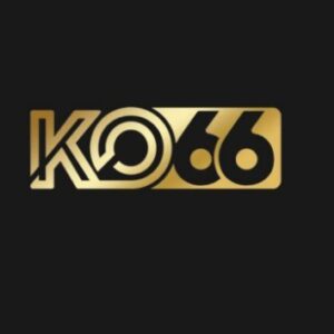 Profile photo of ko66report