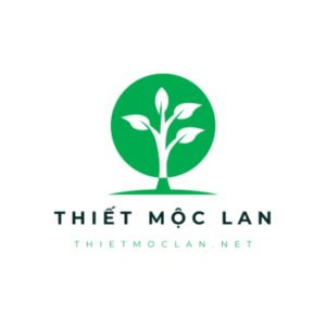 Profile photo of Thiet moc lan