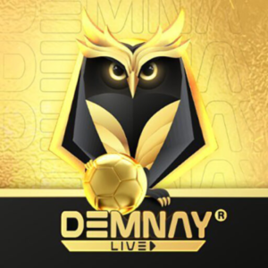 Profile photo of demnay