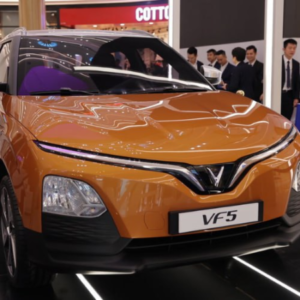 Profile photo of VF Nam