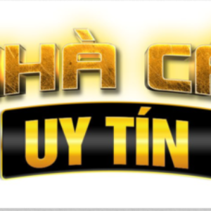 Profile photo of nhacaiuytincom