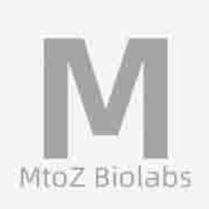 Profile photo of mtozbiolabs1