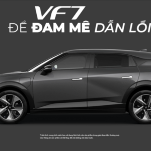 Profile photo of vfbay