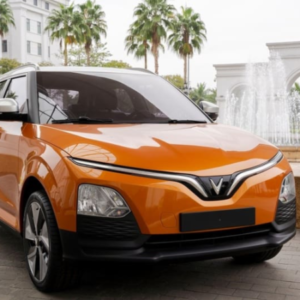 Profile photo of Bao Nhieu Ma Luc