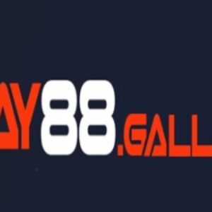 Profile photo of may88gallery