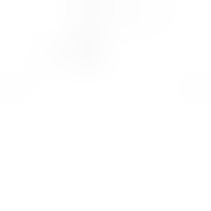 Profile photo of Search