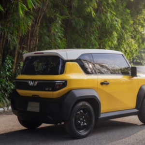 Profile photo of Kich Thuoc