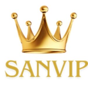 Profile photo of sanvipcom