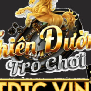 Profile photo of conggametdtcvin