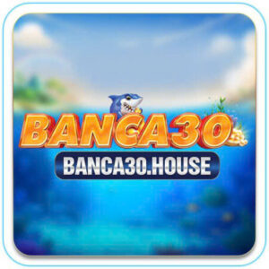 Profile photo of banca30house