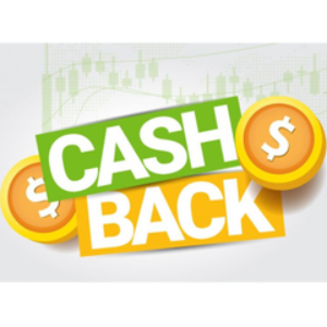 Profile photo of Backcom Forex