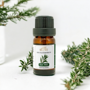 Profile photo of tinhdau