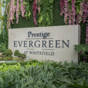 Profile photo of Modern Living Prestige Evergreen