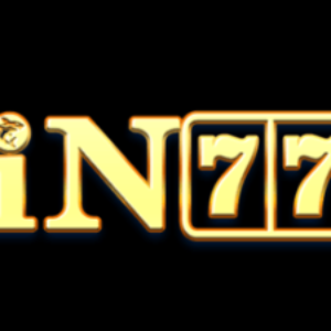 Profile photo of vin777vote