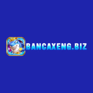 Profile photo of bancaxengbiz