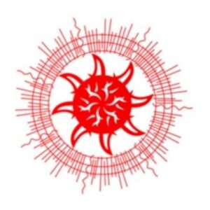 Profile photo of suncitysuncity407