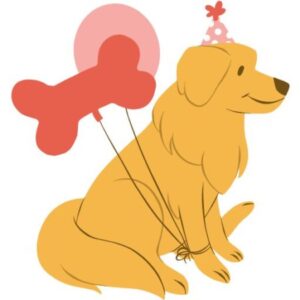 Profile photo of Best Food For