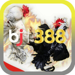 Profile photo of bj388contact