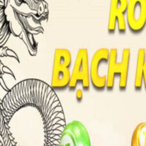 Profile photo of rongbachkimblog