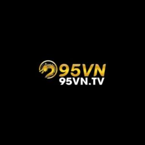 Profile photo of 95vntv