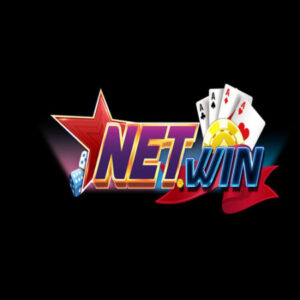 Profile photo of NETWIN