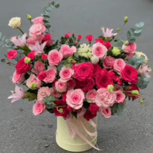 Profile photo of dien hoa