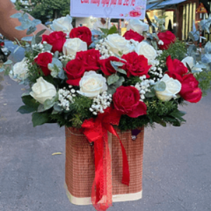 Profile photo of hoa tuoi