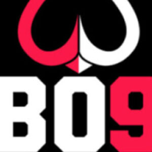 Profile photo of VBO99