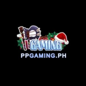 Profile photo of ppgaming