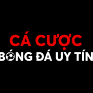 Profile photo of cá độ