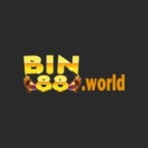 Profile photo of bin88world
