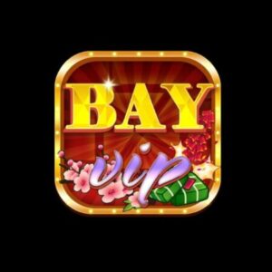 Profile photo of bayvipcam
