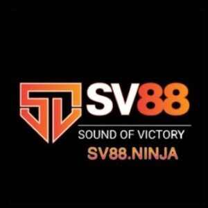 Profile photo of sv88ninja