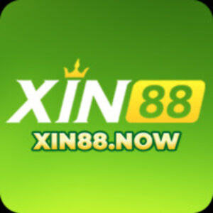 Profile photo of XIN88