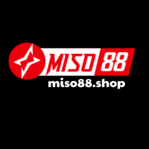 Profile photo of miso88