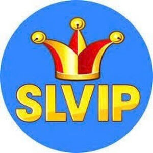 Profile photo of slvipcasino