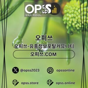 Profile photo of 세종오피 오피.CLUB