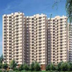 Profile photo of Prestige Evergreen Floor Plan