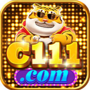 Profile photo of c111comco