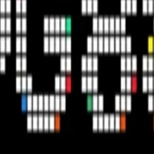 Profile photo of pg88uscom