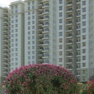 Profile photo of Sobha