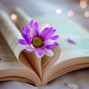 Profile photo of Cory