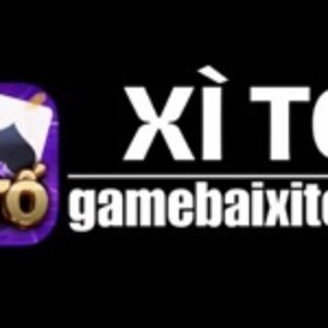 Profile photo of Xì Tố |