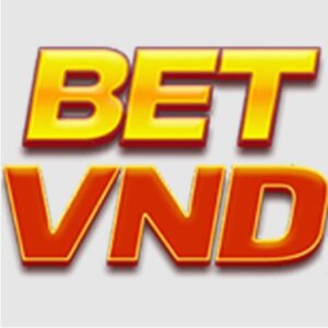 Profile photo of Betvnd