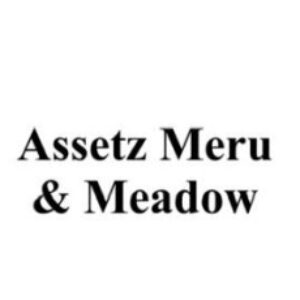 Profile photo of Assetz Meru