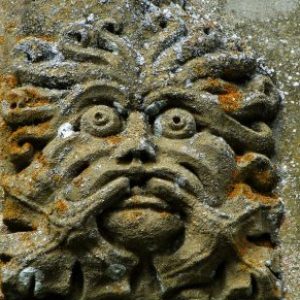 Profile photo of Paul