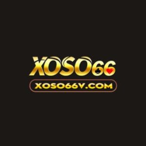 Profile photo of Xoso66